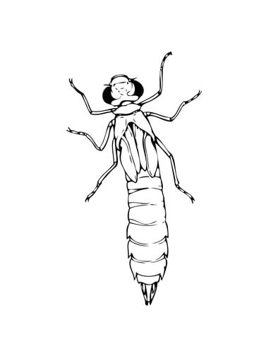 Dragonfly Nymph Coloring Page